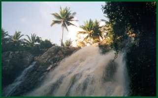 Ein Wasserfall mit Pflanzen umsäumt.